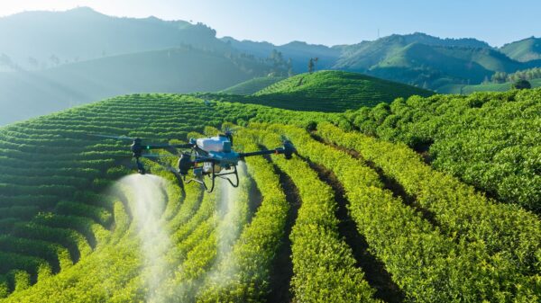 Official DJI Agras T50 agricultural spraying drone package showing the retail price investment value for commercial farming setups.