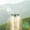 The DJI Agras T50 agricultural sprayer drone preparing for an automated field flight mapping and chemical spraying operation.