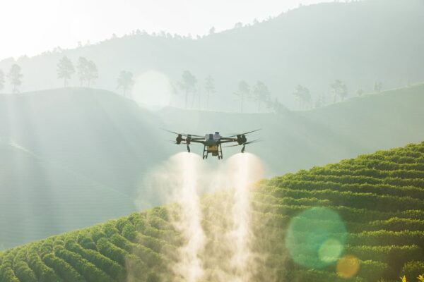 The DJI Agras T50 agricultural sprayer drone preparing for an automated field flight mapping and chemical spraying operation.