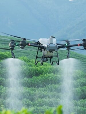 The DJI Agras T50 agricultural sprayer drone preparing for an automated field flight mapping and chemical spraying operation.