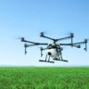 The industrial Dji Agras t20 agricultural drone flying autonomously over a bright green rice crop field in mid-day light.