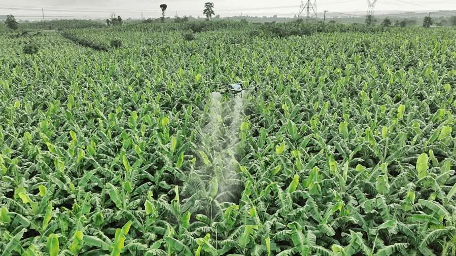 Agriculture UAV Drone