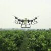 The DJI Agras T30 commercial spraying drone hovering directly over an orchard field showing its specialized 16 nozzle configuration and layout.