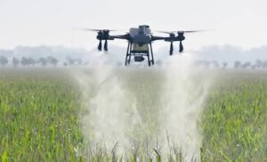 The commercial Dji Agras t25 multirotor spray drone hovering steadily above a green crop field while releasing a dense liquid mist from its dual atomizing sprinklers.