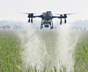 The commercial Dji Agras t25 multirotor spray drone hovering steadily above a green crop field while releasing a dense liquid mist from its dual atomizing sprinklers.